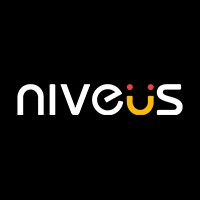 /niveus_solutions_logo.jpeg